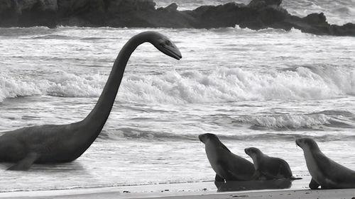 水怪爆料完整版视频大全,完整版视频大全深度解析